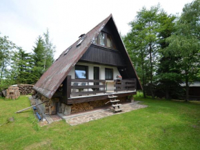 Nice holiday home in the Ore Mountains only 500m from the chairlift Loučná Pod Klínovcem
